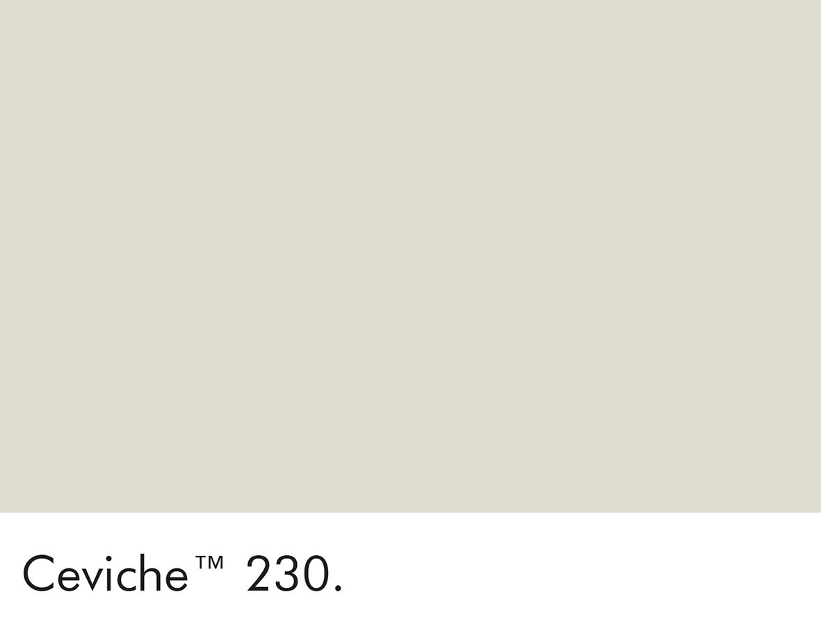 230 Ceviche