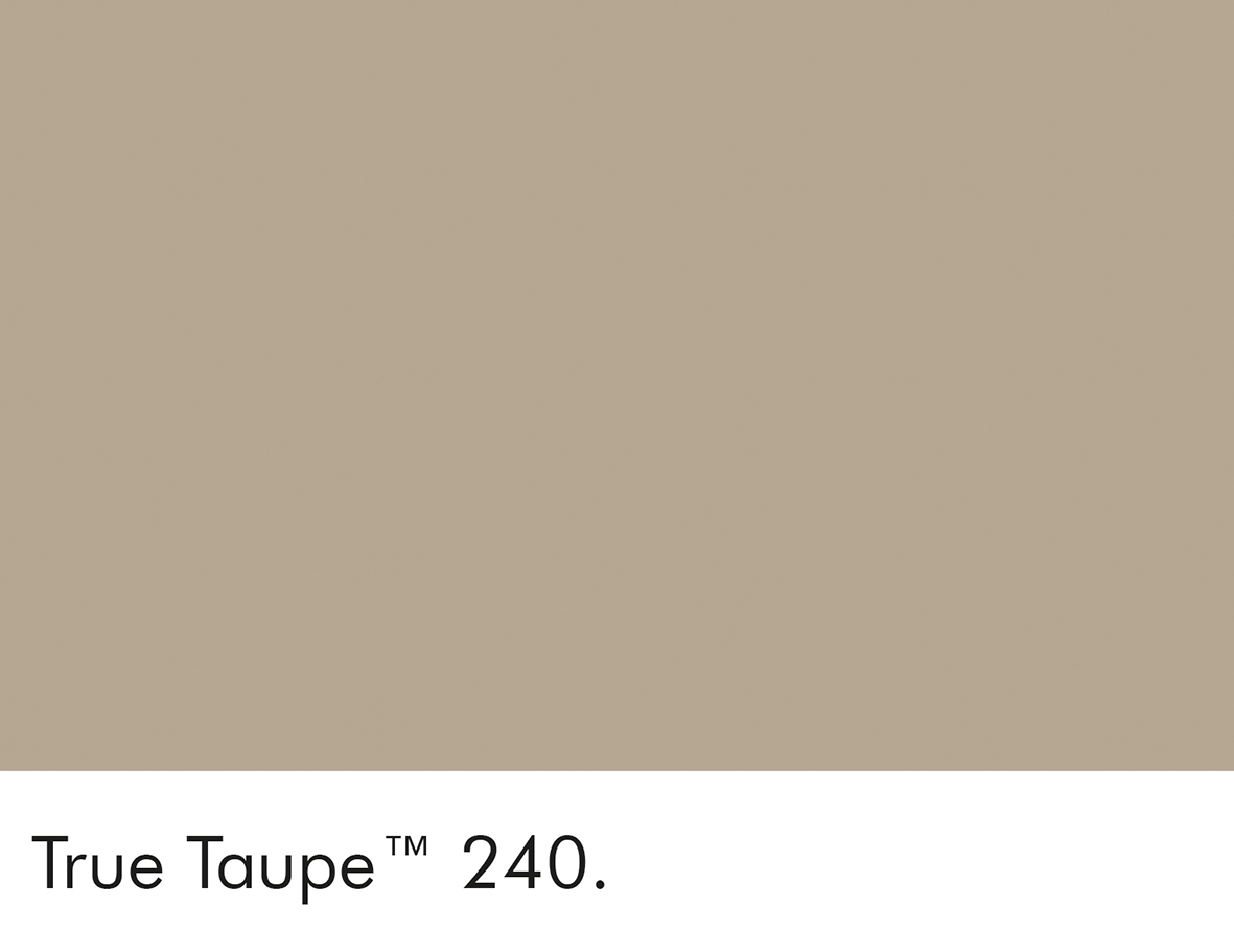 240 True Taupe