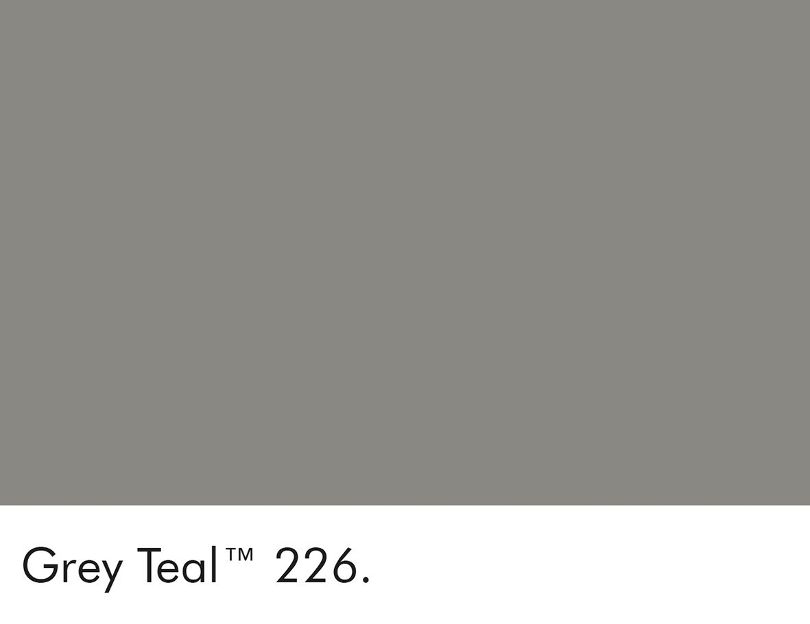 226 Grey Teal