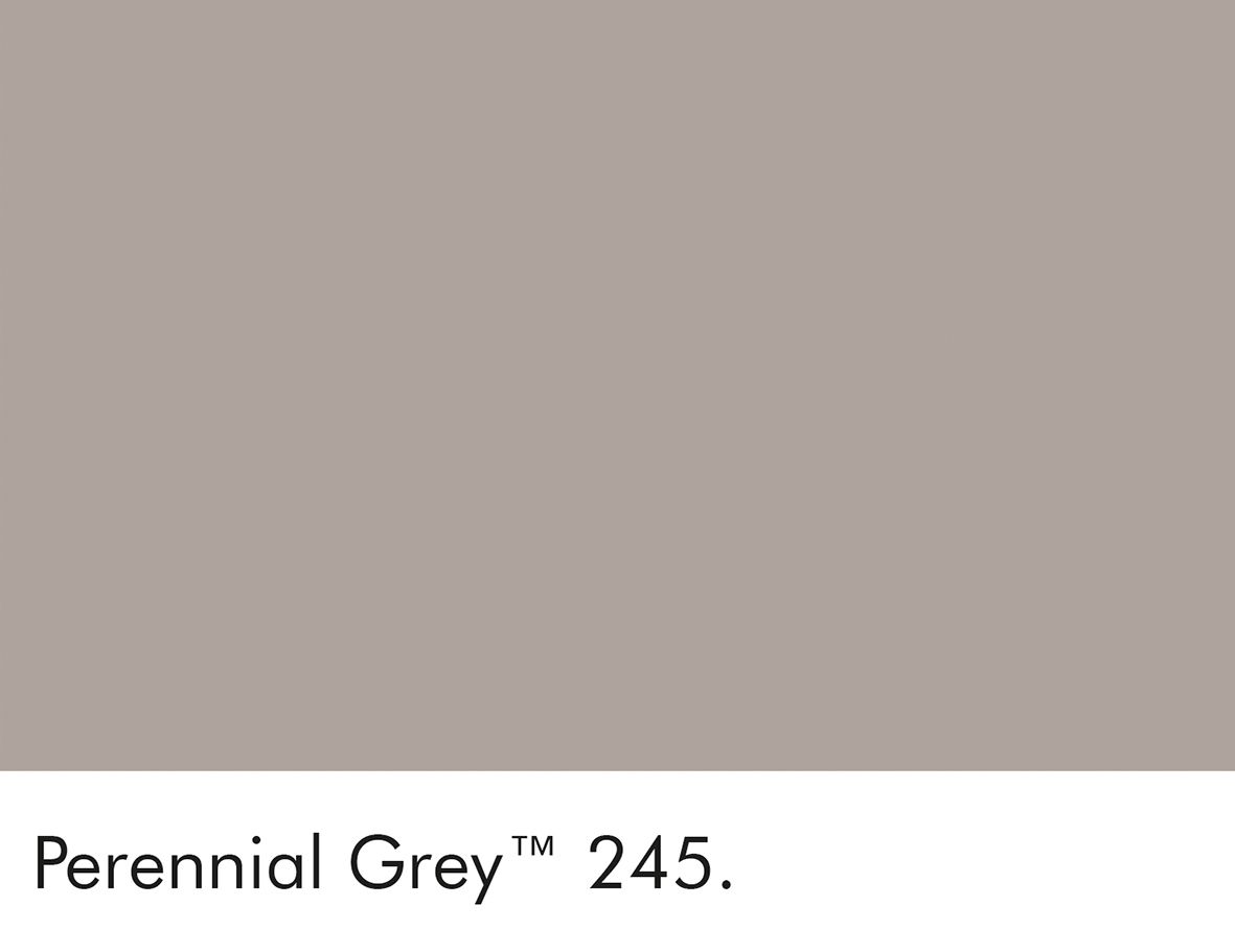 245 Perennial Grey