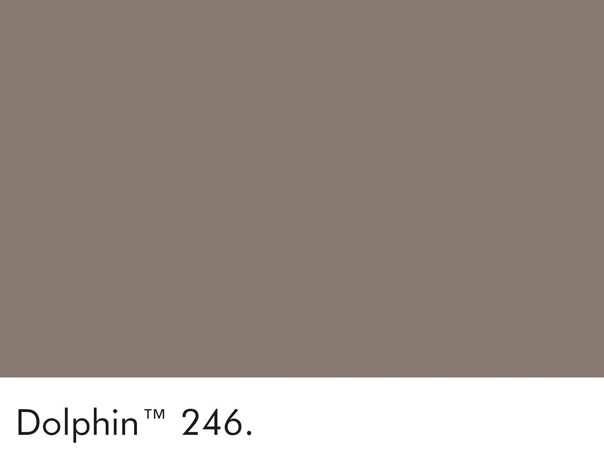 246 Dolphin